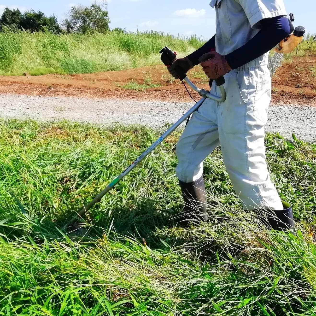 草刈り 東海市 | 東海市で草刈りならお庭の窓口東海市