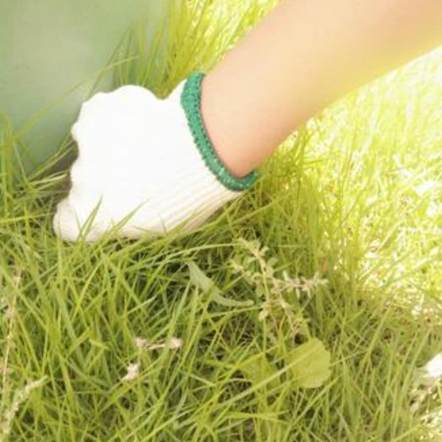 草取り 東海市 | 東海市で草取りならお庭の窓口東海市