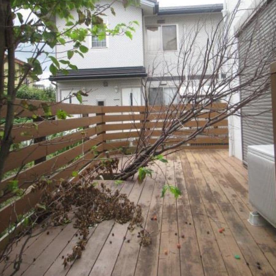 倒木撤去 東海市 | 東海市で庭木の倒木撤去ならお庭の窓口東海市