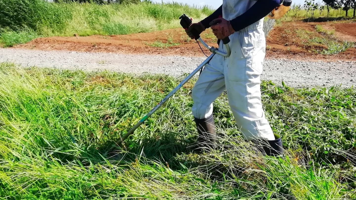 草刈り 東海市 | 東海市で草刈りならお庭の窓口東海市