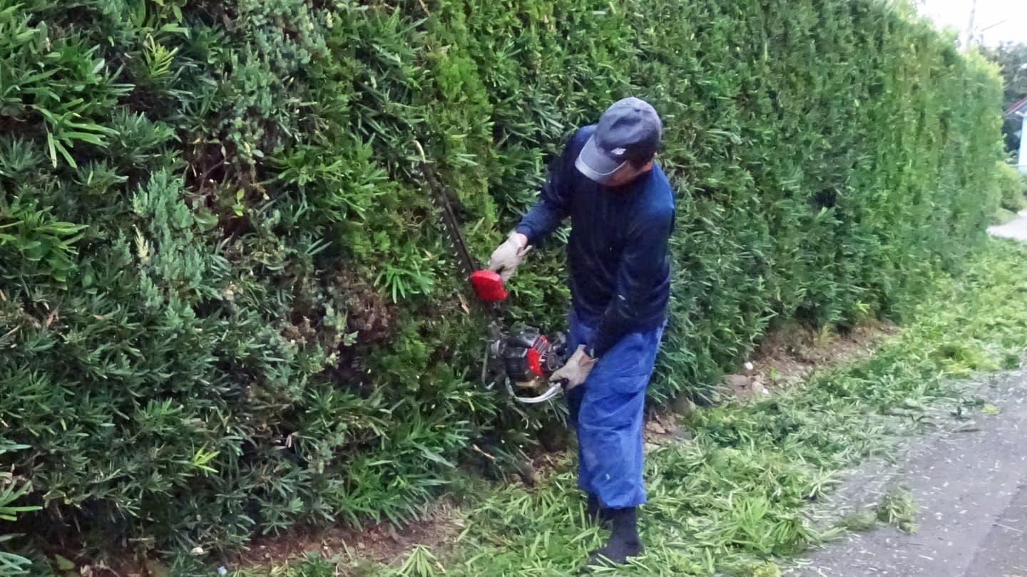 生垣剪定 東海市 | 東海市で生垣剪定ならお庭の窓口東海市