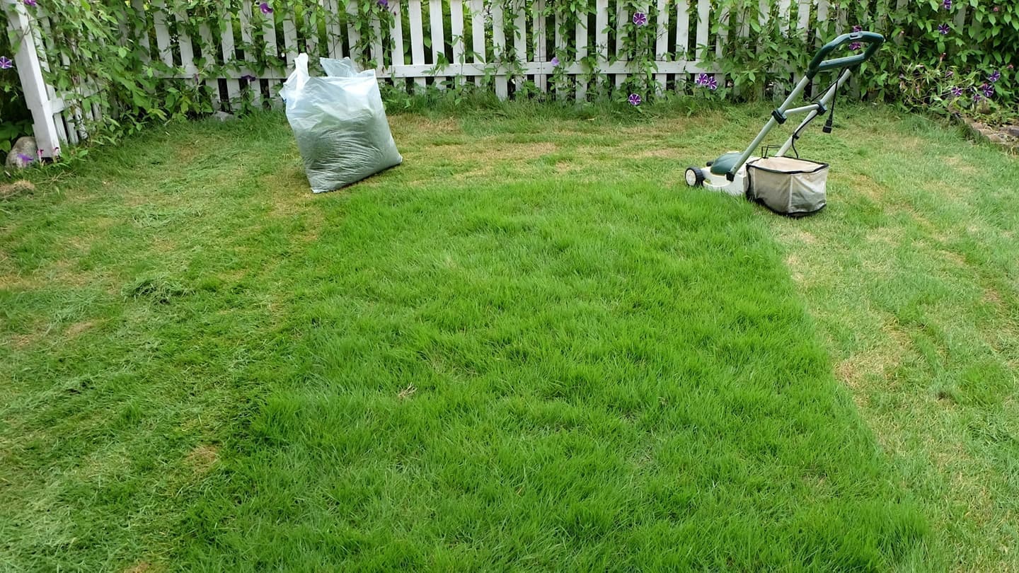 芝生の手入れ 東海市 | 東海市で芝生の手入れならお庭の窓口東海市