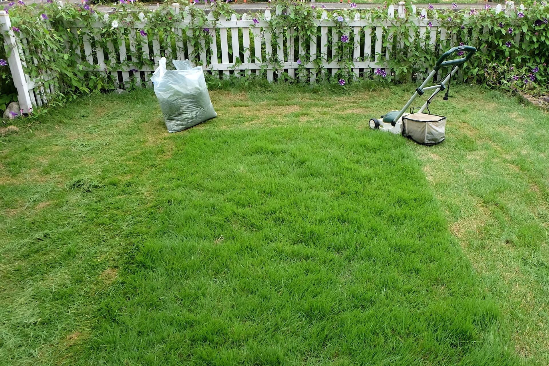 芝生の手入れ 東海市 | 東海市で芝生の手入れならお庭の窓口東海市