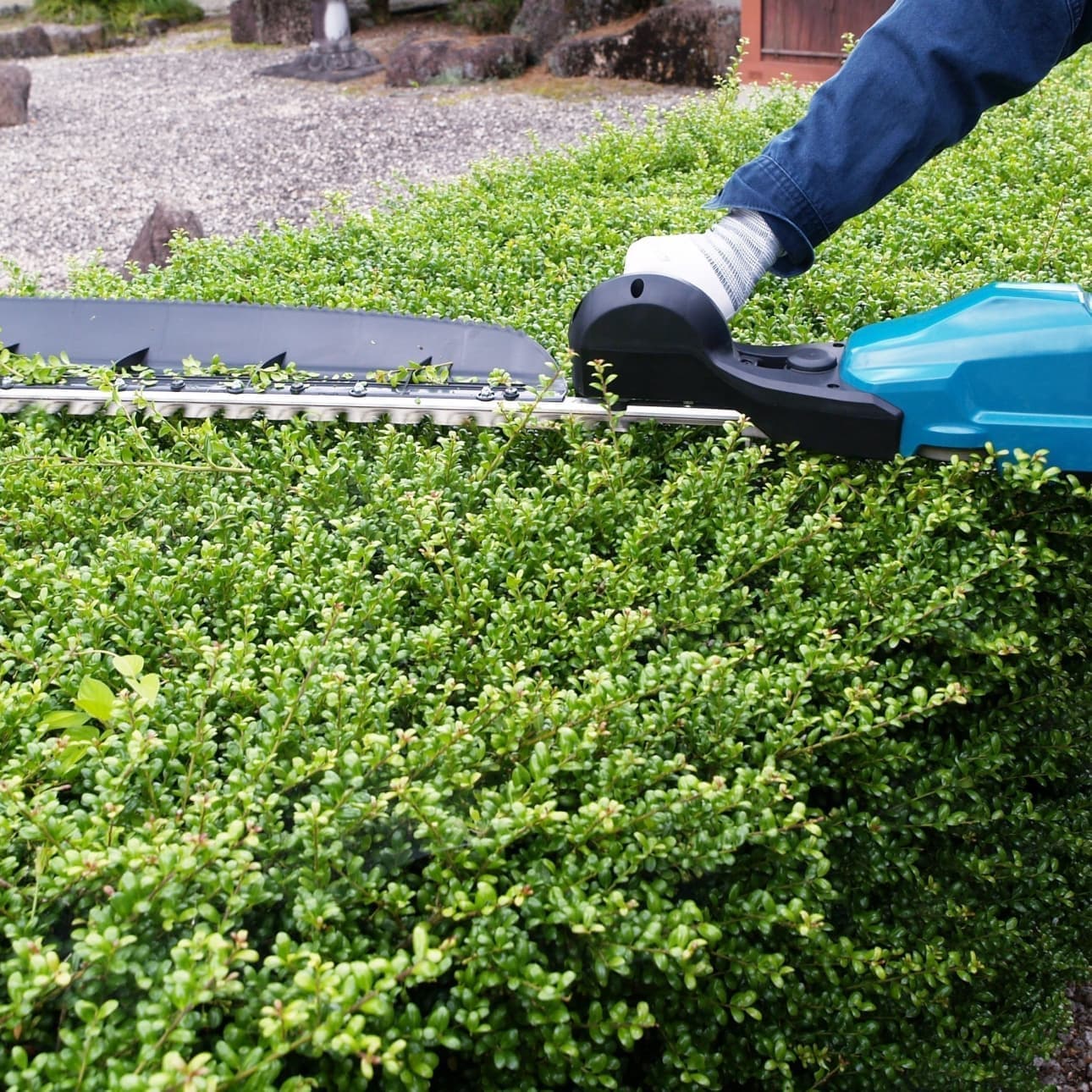 植込み剪定 東海市 | 東海市で庭木の植込み剪定ならお庭の窓口東海市