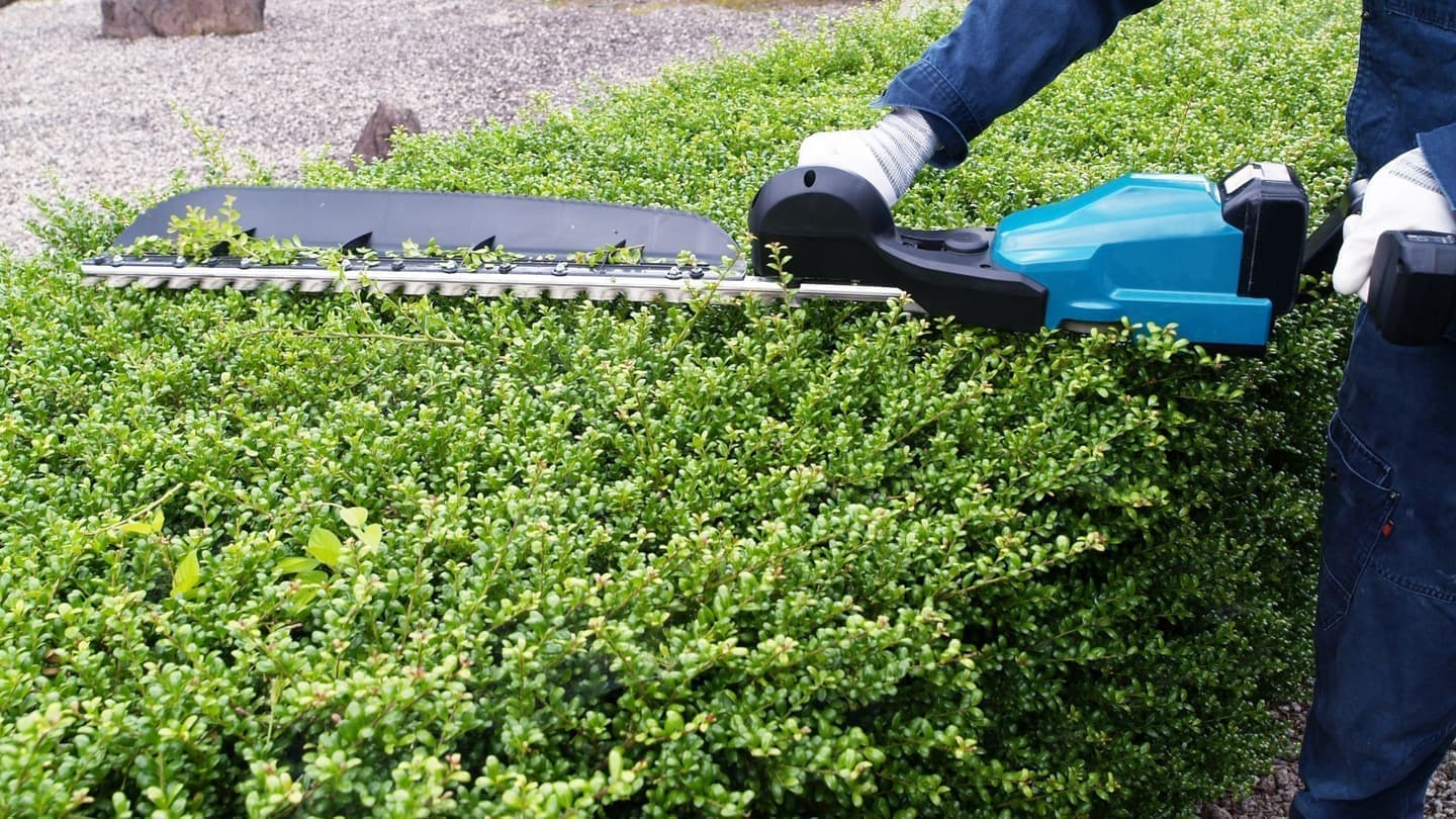 植込み剪定 東海市 | 東海市で植込み剪定ならお庭の窓口東海市