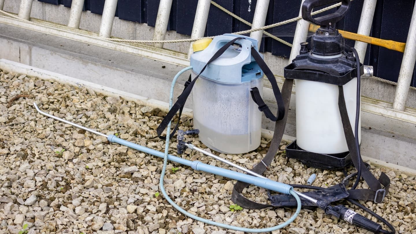 庭木の消毒・害虫対策 東海市 | 東海市で庭木の消毒・害虫対策ならお庭の窓口東海市